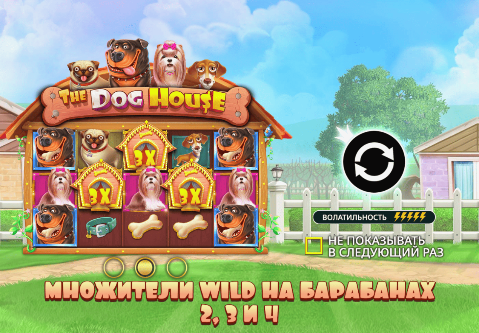 The Dog House